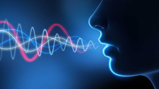 sound activated recorder